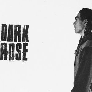 Darkrose, didgeridoo player in Sydney, photo 2