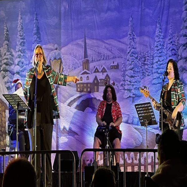 Resting Grinch Face, party band in Sydney, photo 2