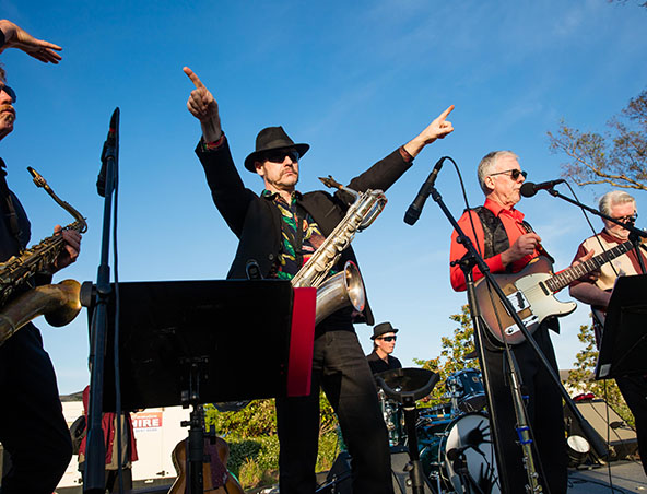 The Bellhops, rock 'n' roll band in Sydney, photo 3