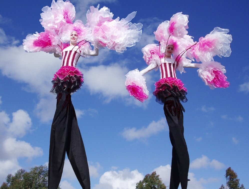 Blossoms, stilt walker in Sydney