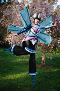Dragonfly on Stilts, stilt walker in Sydney, photo 3