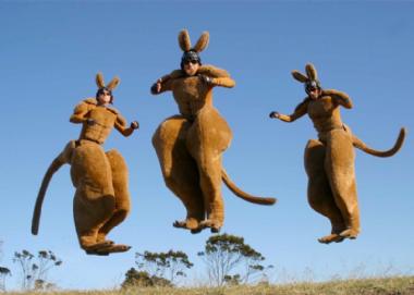 Roo'd, stilt walker in Sydney, photo 2