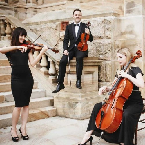 Accent Strings, string quartet in Sydney