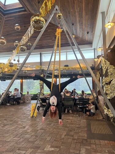 Aerial Lyra, aerialist in Sydney, photo 3