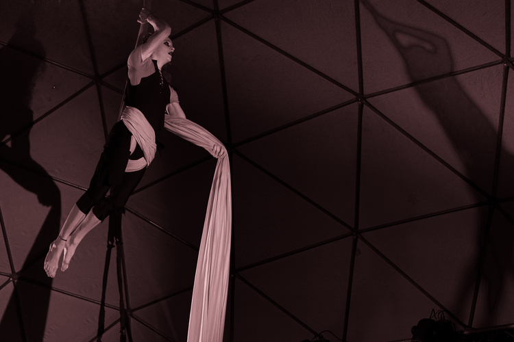 Aerial Silks and Aerial Hoop, acrobat in Sydney, photo 3