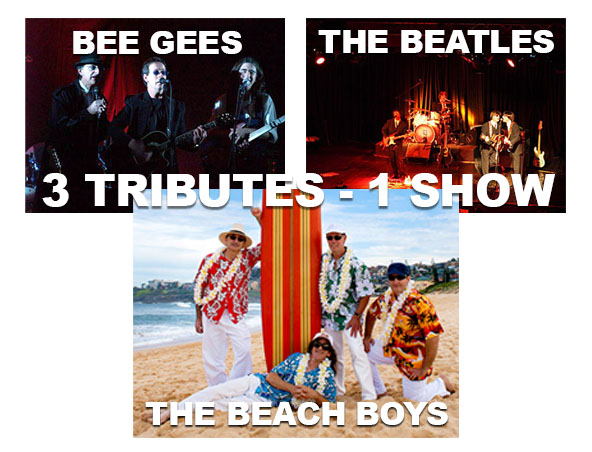 Three Tributes In One Show, tribute band in Sydney