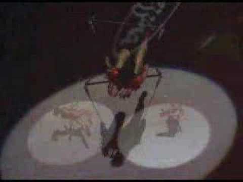 Triple Trapeze, aerialist in Sydney