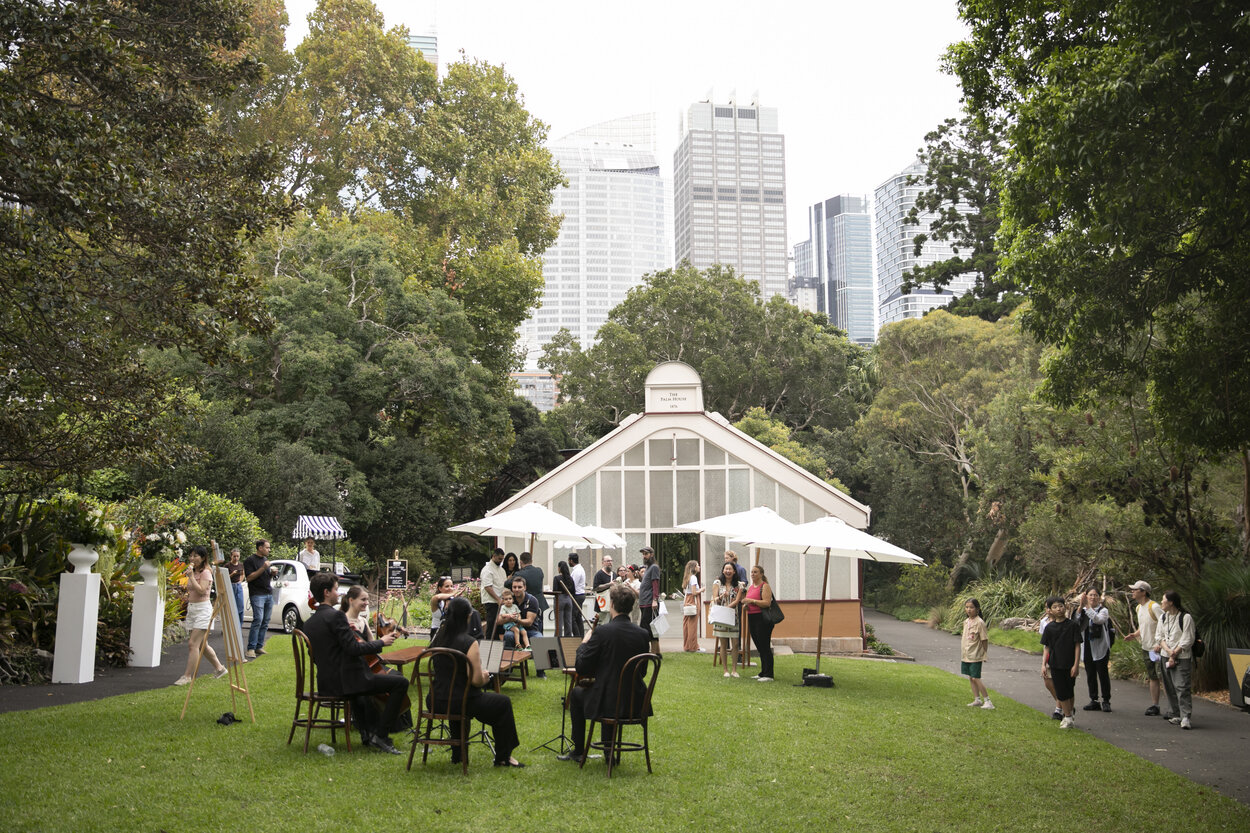 Pursuit 19 Music Services, wedding band in Sydney, photo 2