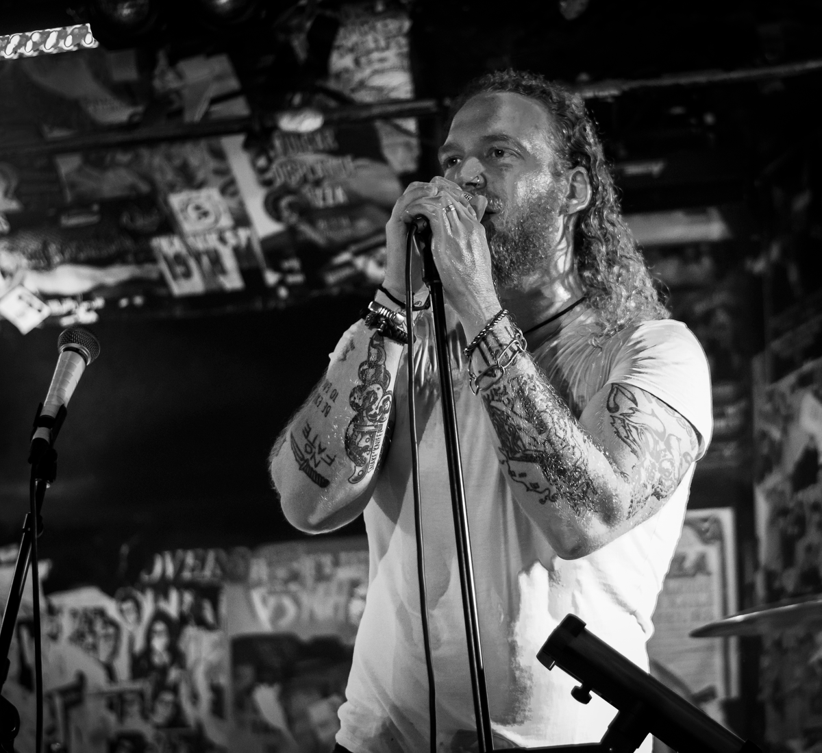 Will Vaughan Music, singer in Sydney
