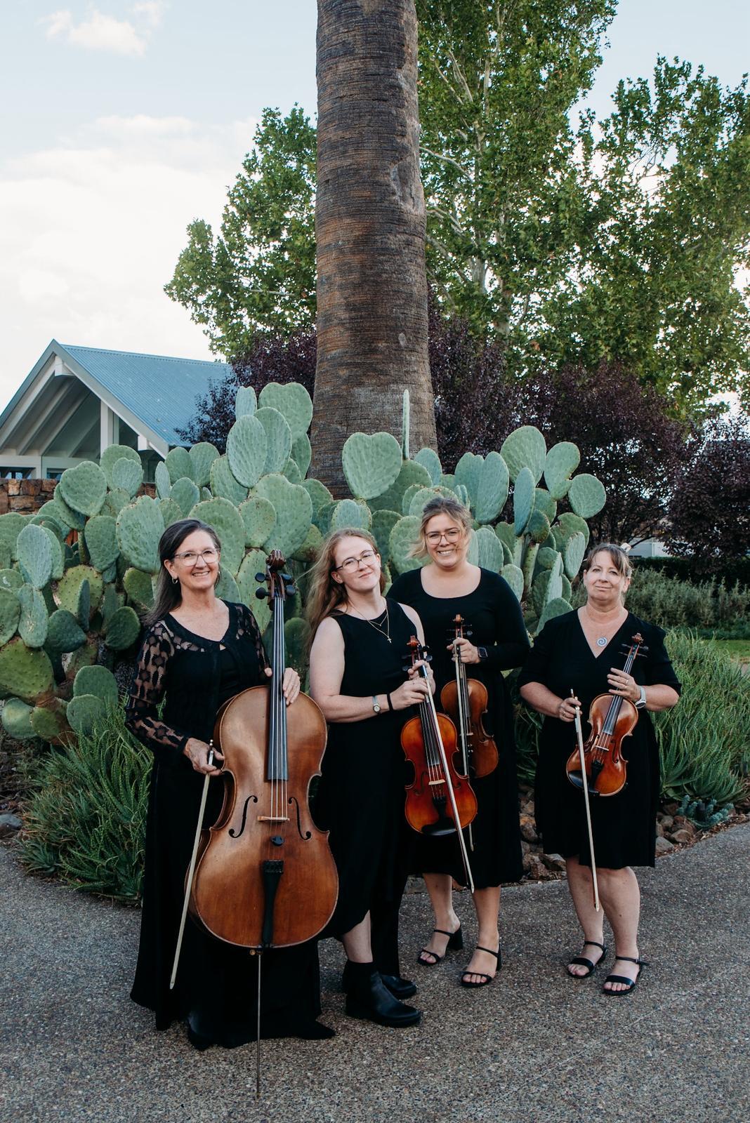 Bella Musica, string quartet in Tamworth