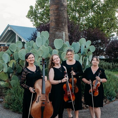 Bella Musica, string quartet in Tamworth, photo 2