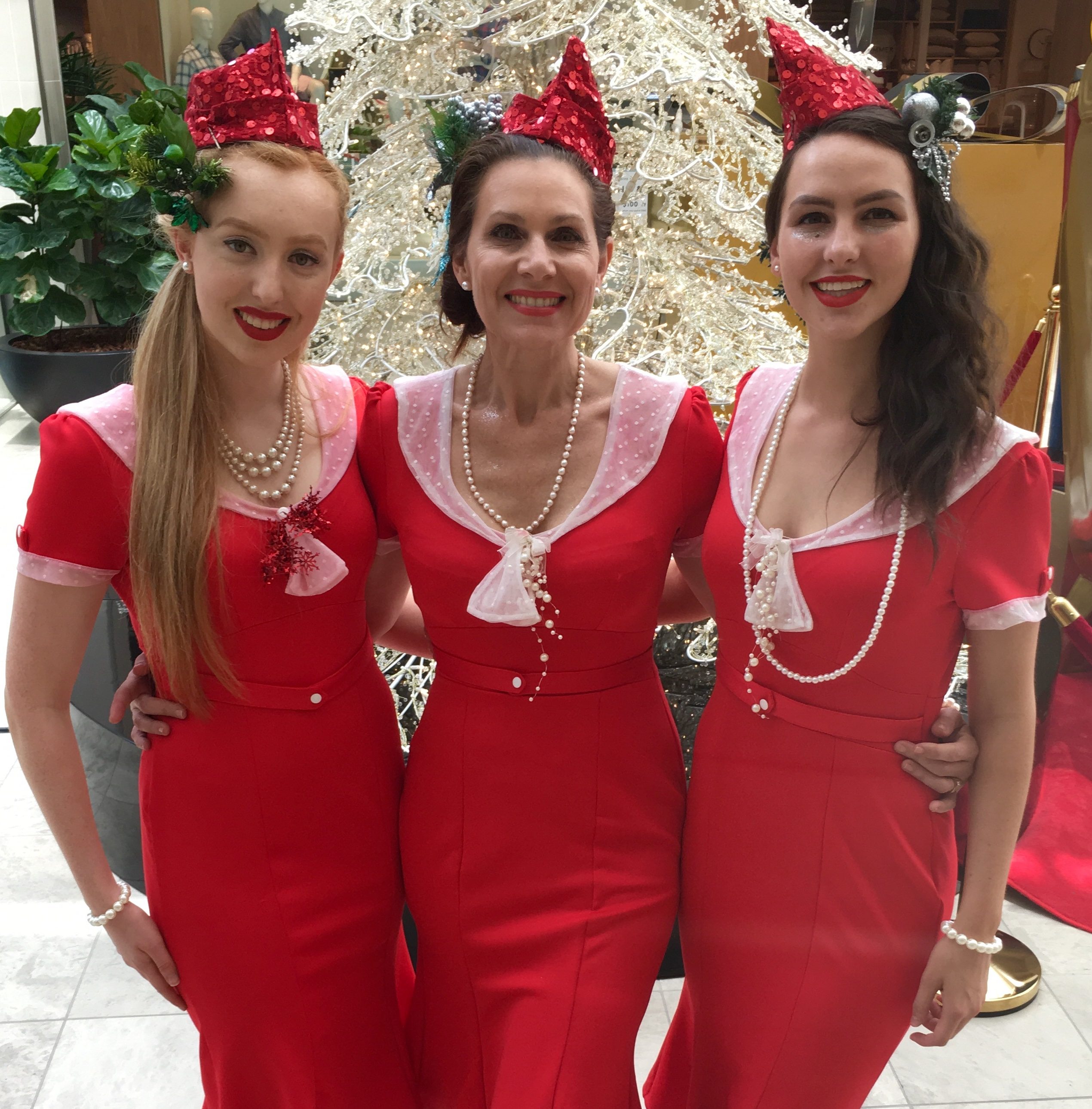 The Christmas Wishes, musical trio in Perth
