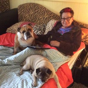 Barsha Welter - Humour, comedian in Toowoomba, photo 2