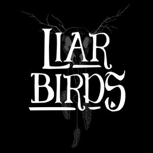 LIAR Birds, cover band in Toowoomba, photo 2