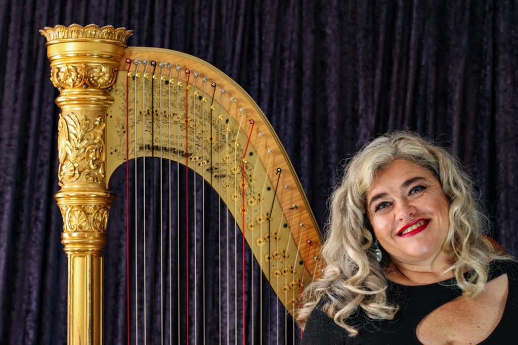 Wedded to the Harp, harp player in Toowoon Bay, photo 2
