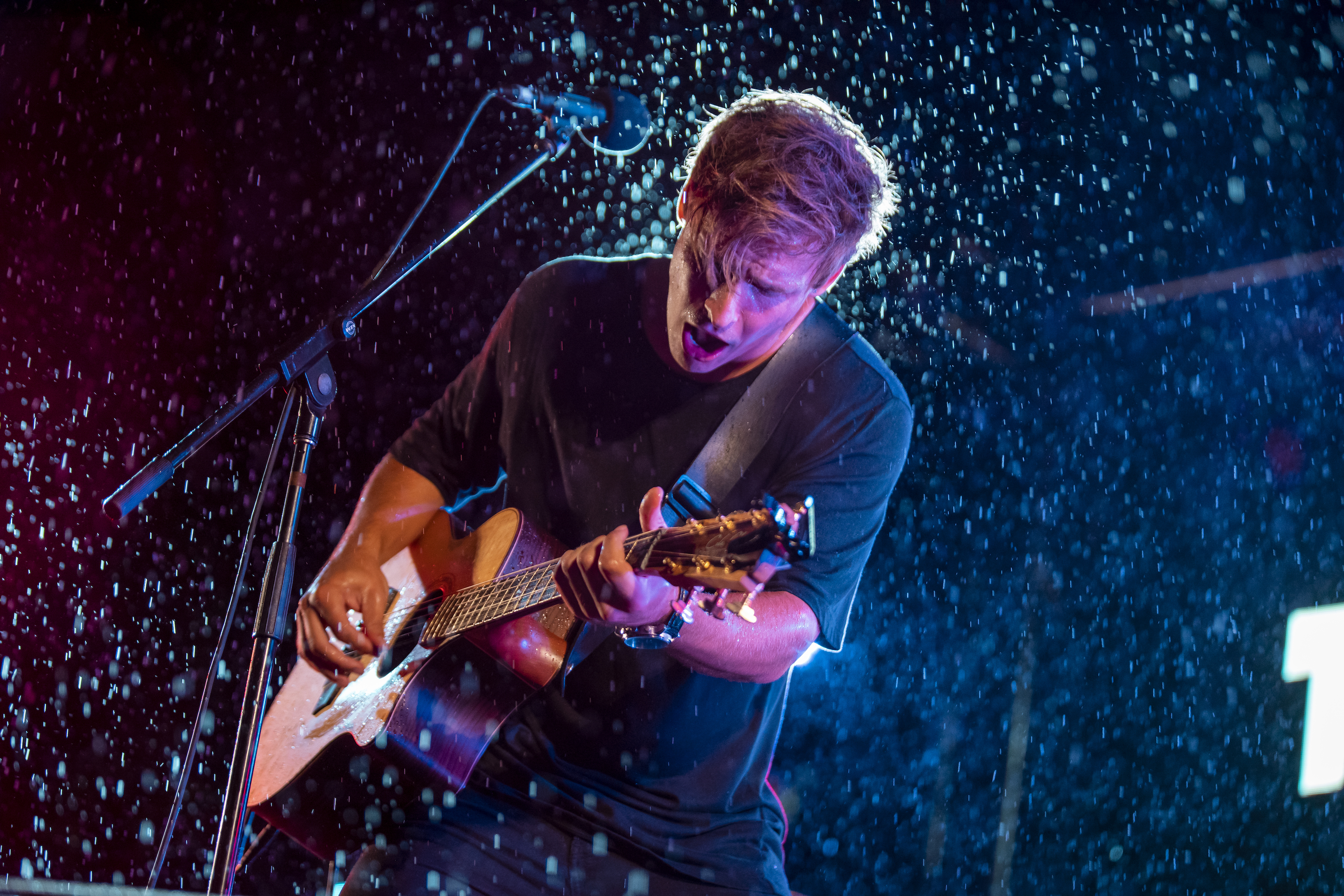 Trent Bell, singer-songwriter in Townsville City, photo 2