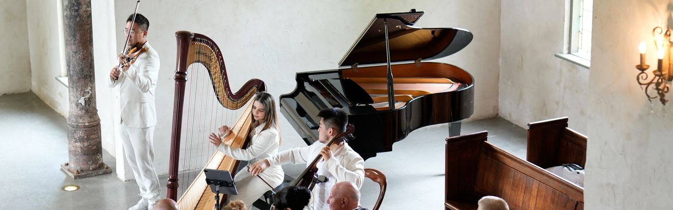 Darioviolin & Double Show Entertainment, wedding band in Melbourne, photo 2