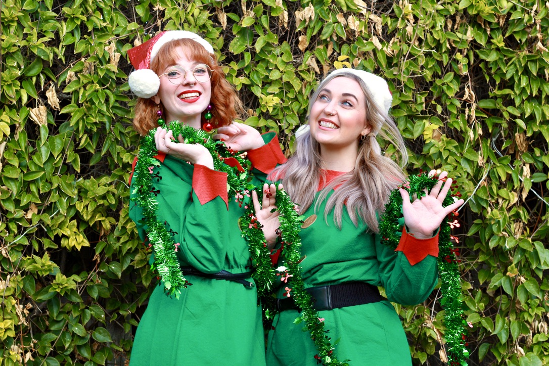 The Tinsel Tones, children's entertainer in WA, photo 2