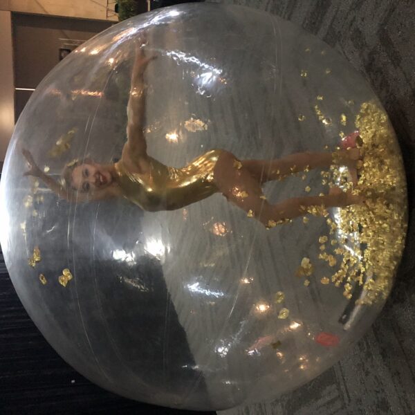 Christmas Snow Globes, circus act in WA, photo 2