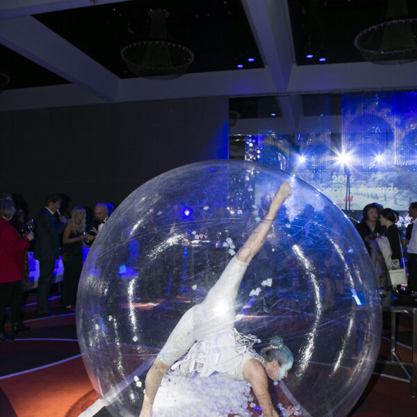 Christmas Snow Globes, circus act in WA, photo 3