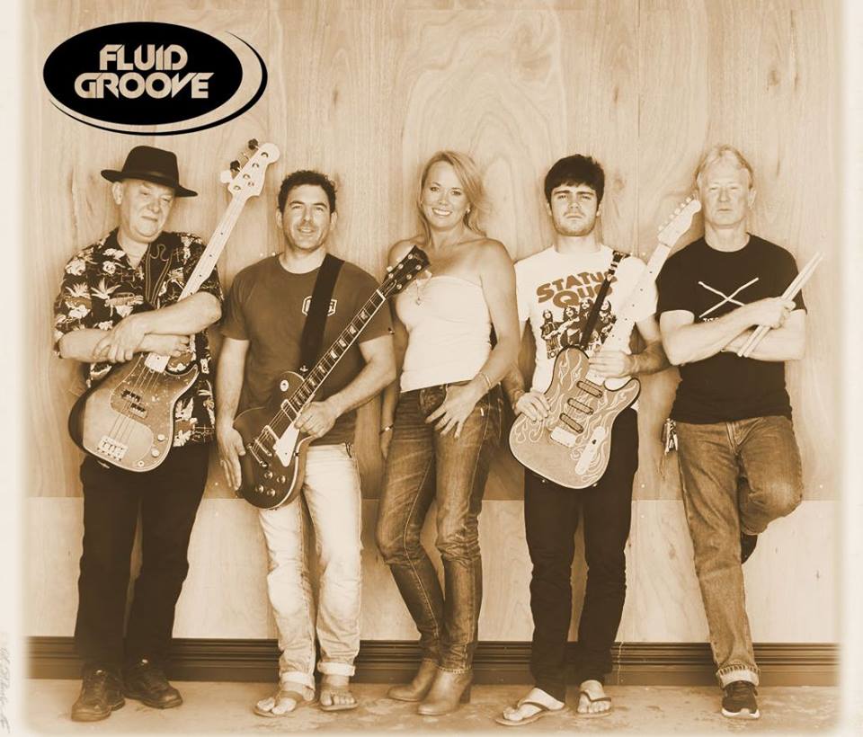 Fluid Groove, cover band in WA, photo 2
