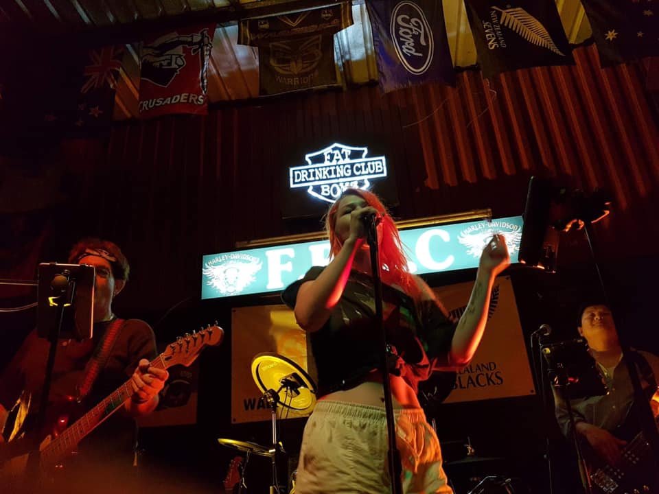 Party Town Band, cover band in WA, photo 3