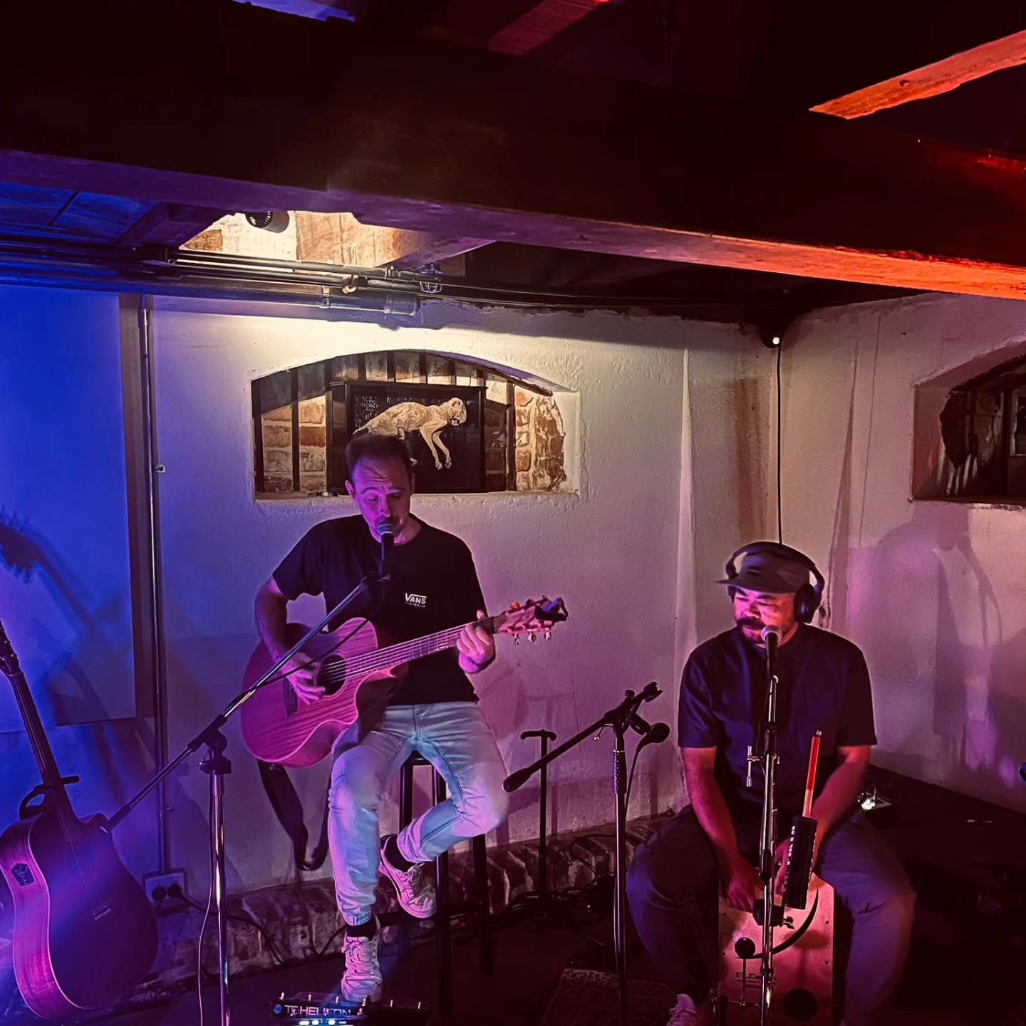 Winston Brothers Acoustic, musical duo in WA, photo 2
