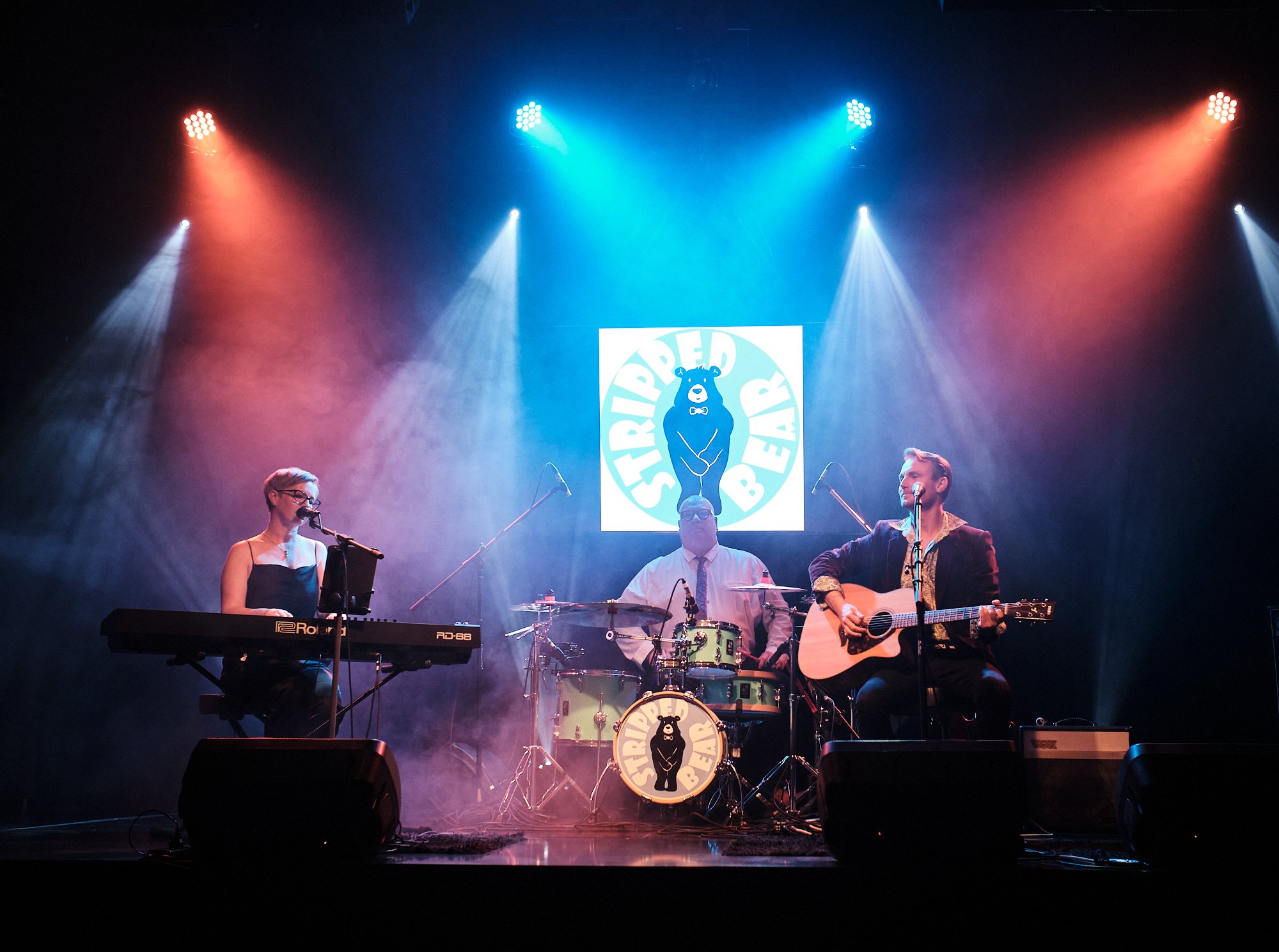 Stripped Bear, musical trio in WA, photo 2