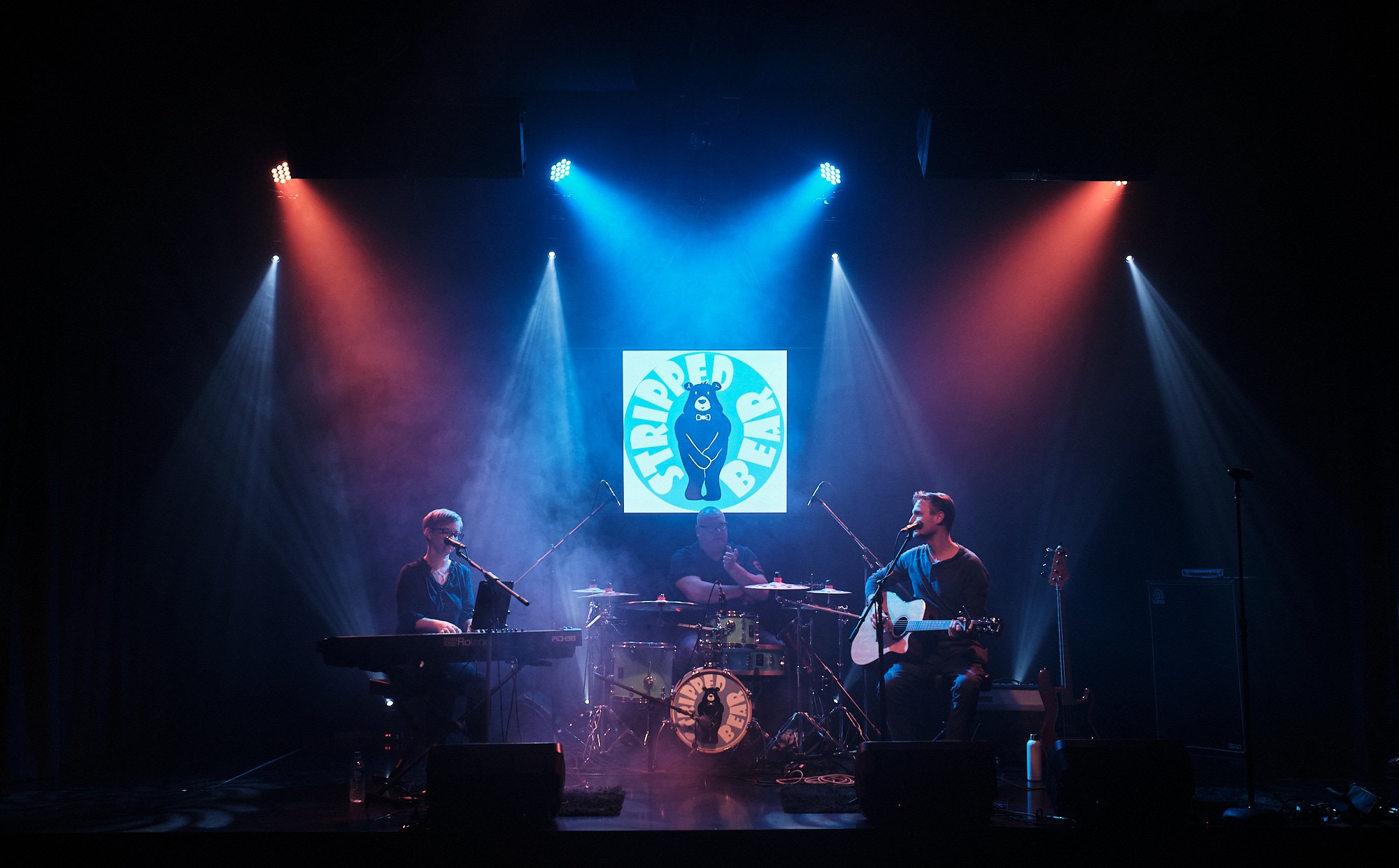 Stripped Bear, musical trio in WA, photo 3