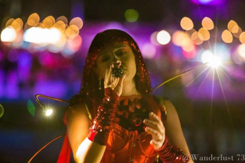 Glimmer Roving Musicians, roving entertainer in WA, photo 3