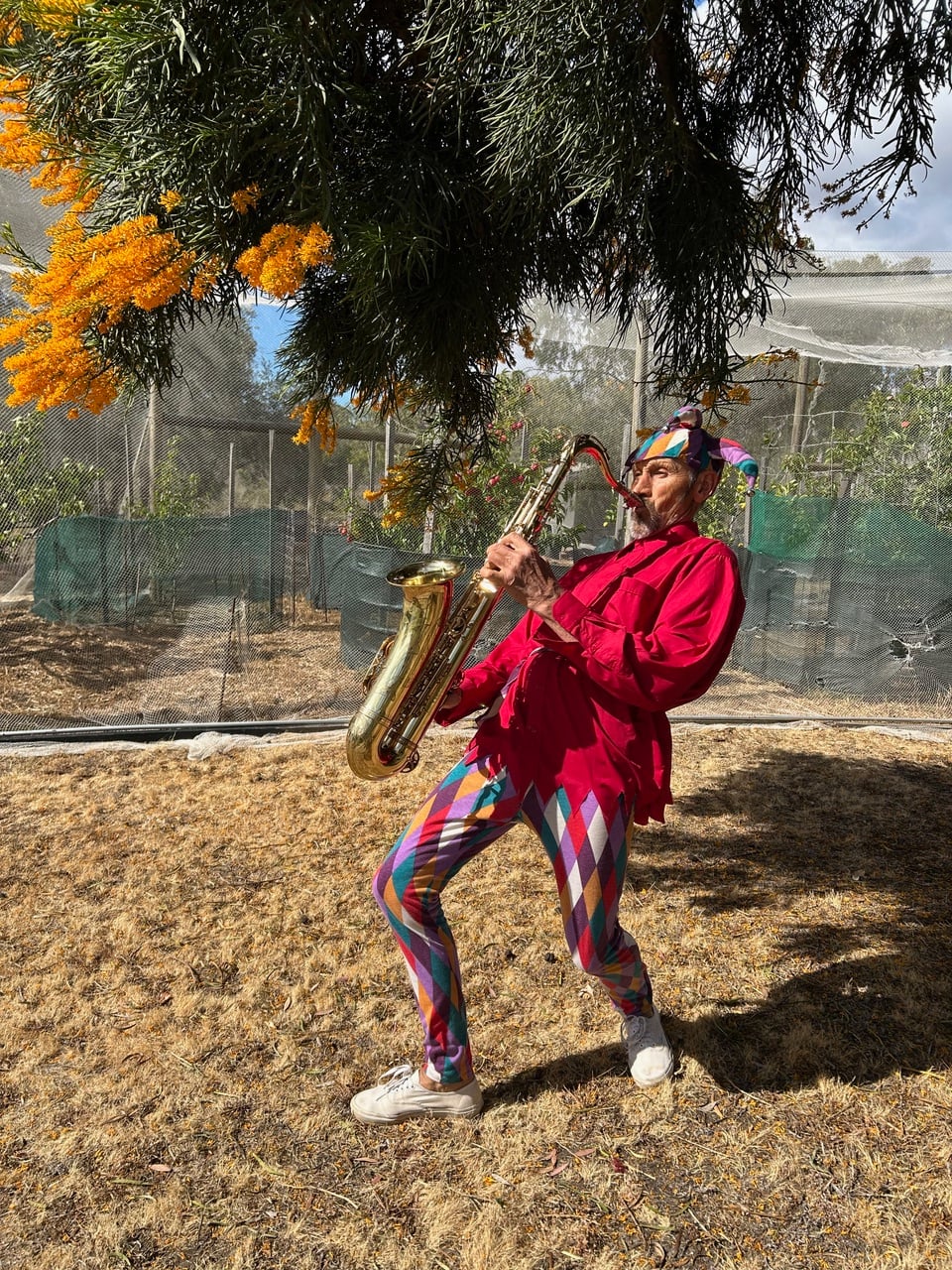 Saxophonist Lyall, saxophone player in WA, photo 2