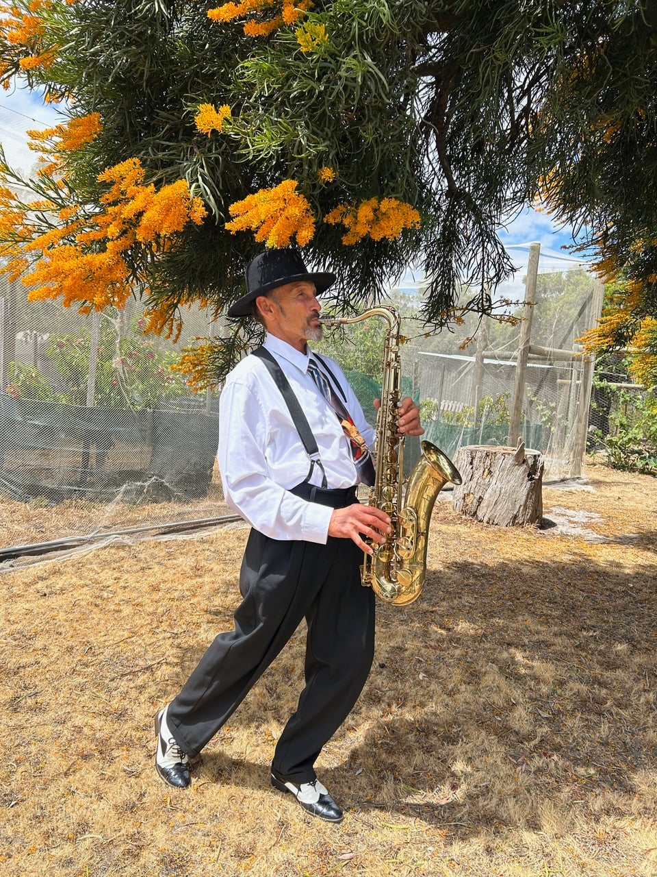 Saxophonist Lyall, saxophone player in WA, photo 3