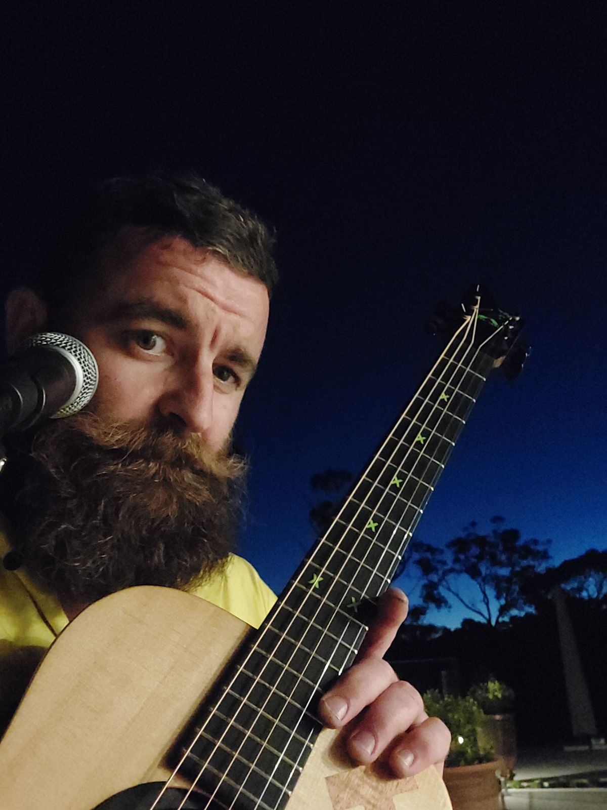 West_woodMusic, musical soloist