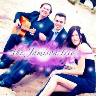 The Jamison Trio, musical trio in Wollongong, photo 2