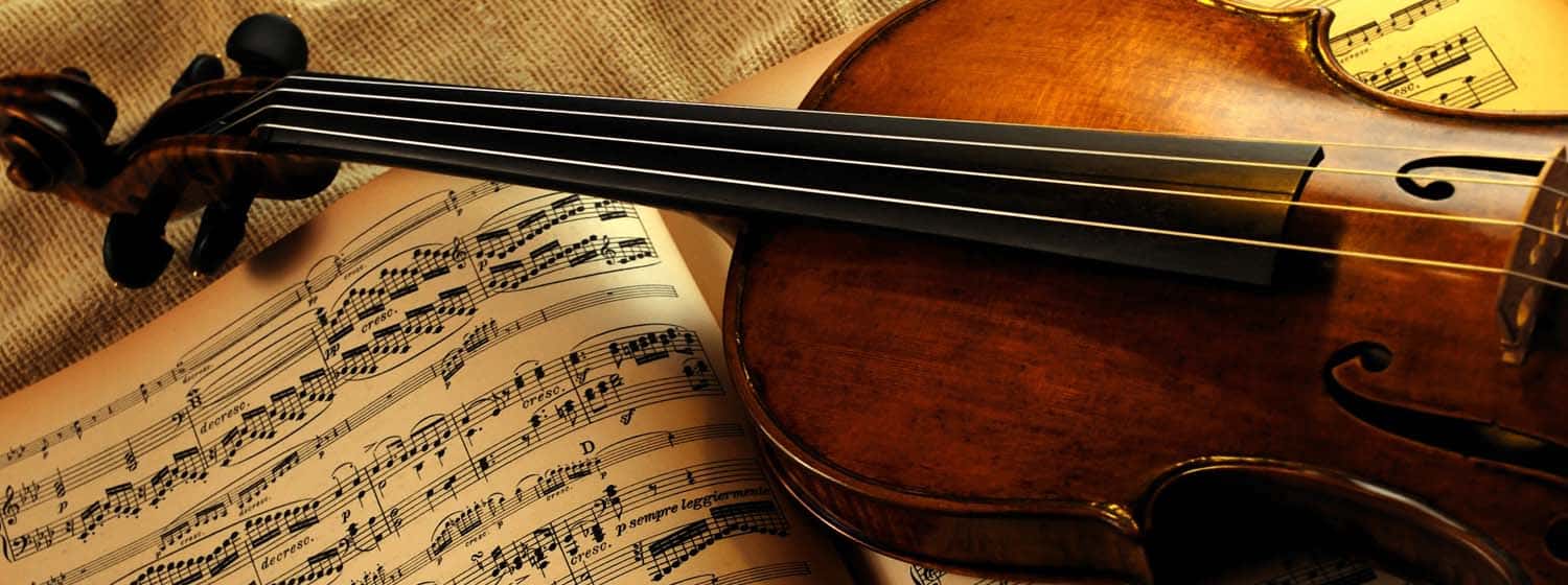 Luya Musica, event services in Yeronga